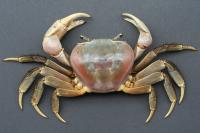 خرچنگ تایلندی (Thai Crab)