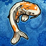 تاریخچه ماهی کوی